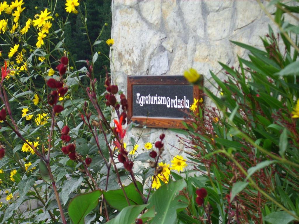 Agroturismo Ordaola Alonsotegi Zewnętrze zdjęcie